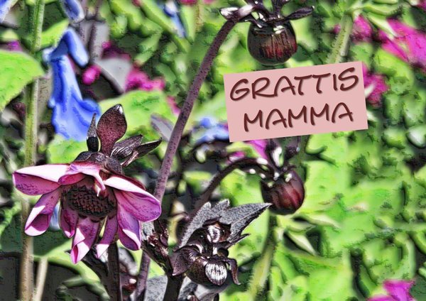 Äitienpäiväkortti Kesä Kukka, Grattis Mamma