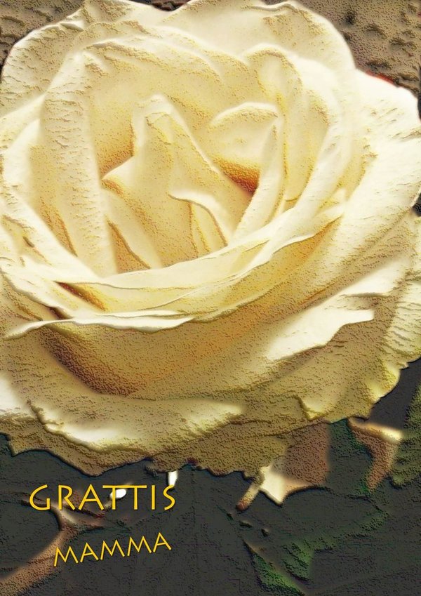 Äitienpäiväkortti Valkoinen Ruusu, Grattis Mamma