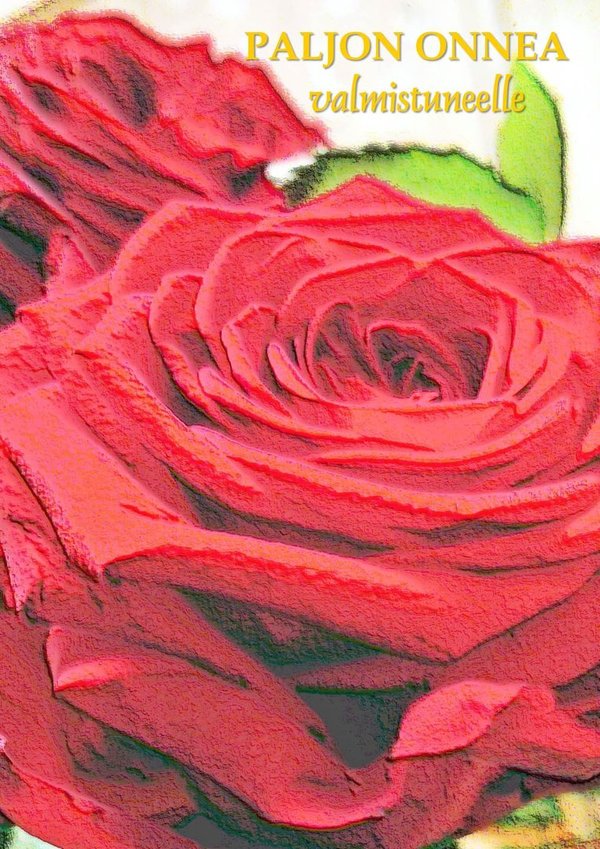 Paljon onnea valmistuneelle - Punainen ruusu Onnittelukortti