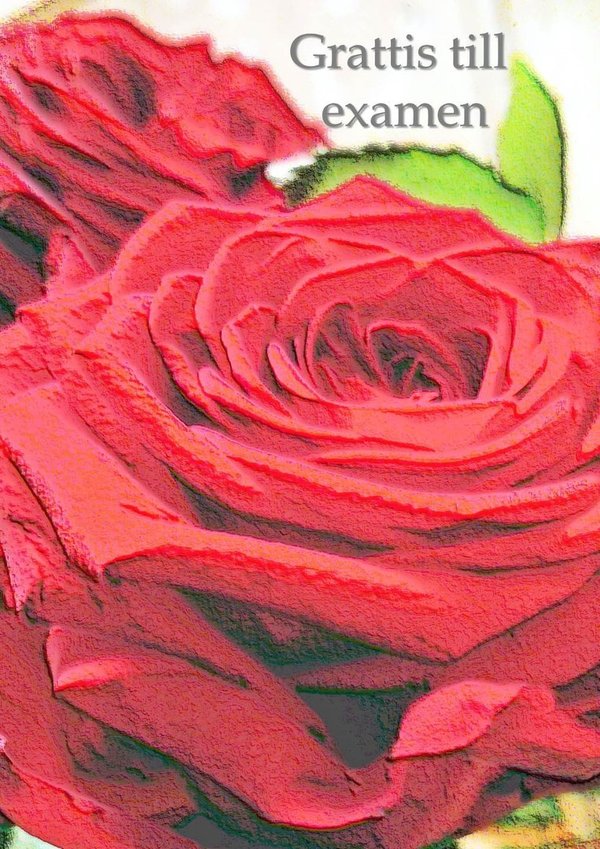 Grattis till examen - Punainen ruusu Onnittelukortti
