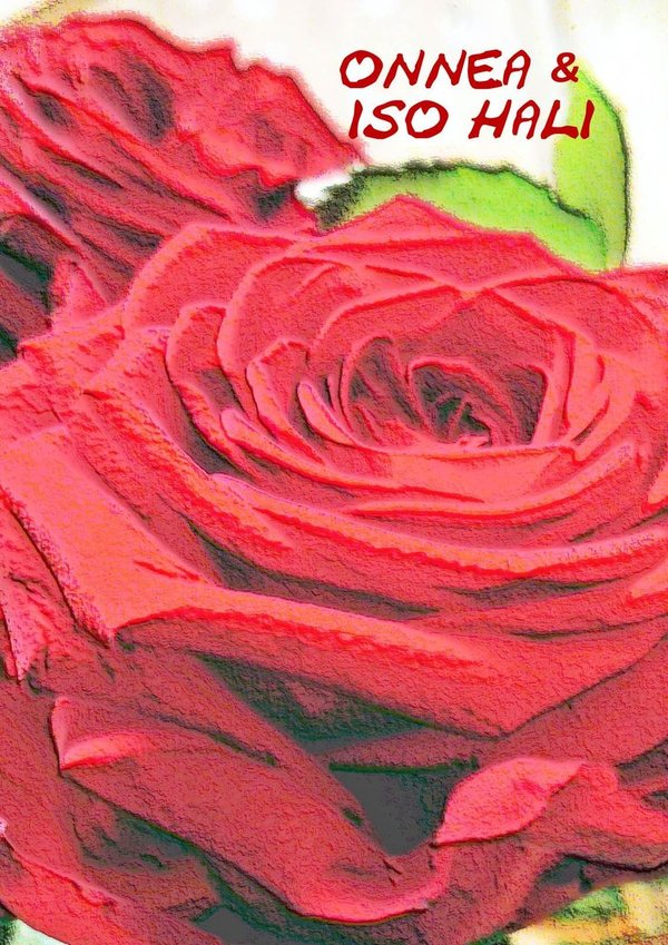 Onnea ja iso hali - Punainen ruusu onnittelukortti