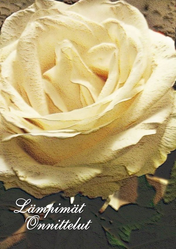 Lämpimät onnittelut - Valkoinen ruusu onnittelukortti
