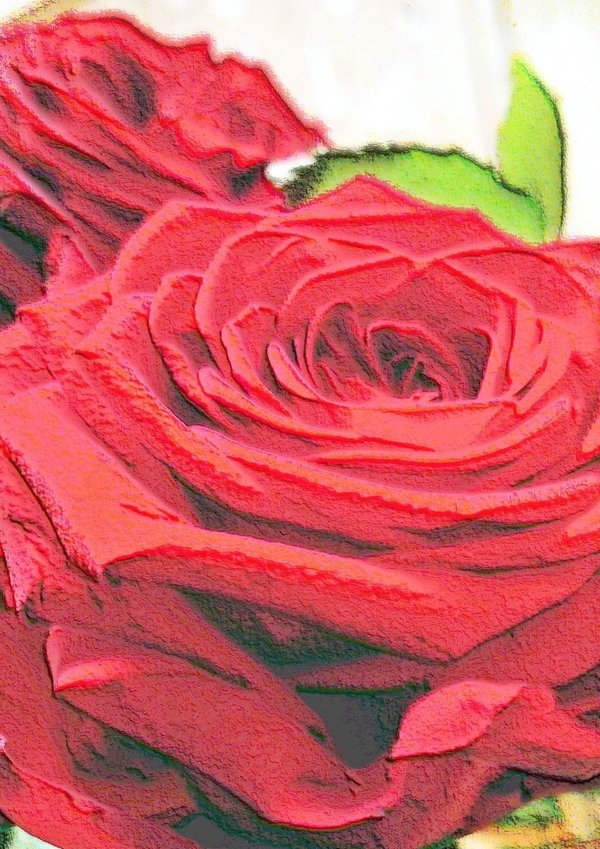 Punainen ruusu - tekstitön iso onnittelukortti