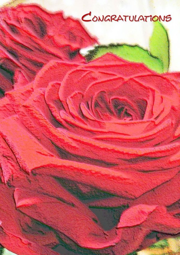 Congratulations - Punainen ruusu onnittelukortti