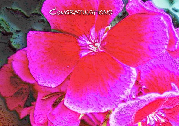 Congratulations - Iloinen kukka onnittelukortti